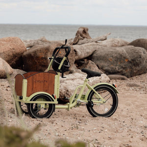 Chanty Cargo Mini - Green