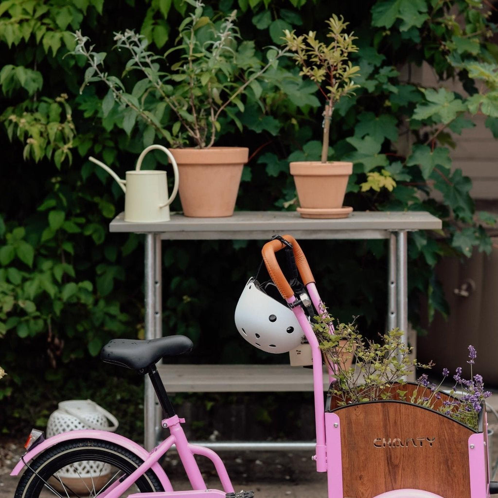 Chanty Cargo Kid – Pink inkl. hjelm, flaskeholder, håndtag i 2 farver og ringklokke - BørnecyklerneChantyBørnecyklernePink: BLC16 - LYRChanty Cargo Kid – Pink inkl. hjelm, flaskeholder, håndtag i 2 farver og ringklokke
