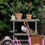 Chanty Cargo Kid – Pink inkl. hjelm, flaskeholder, håndtag i 2 farver og ringklokke - BørnecyklerneChantyBørnecyklernePink: BLC16 - LYRChanty Cargo Kid – Pink inkl. hjelm, flaskeholder, håndtag i 2 farver og ringklokke