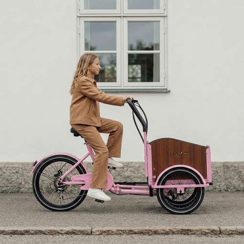 Chanty Cargo Teen - Pink
