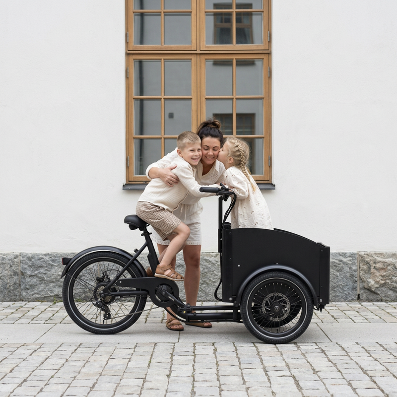 Chanty Cargo City Bike Electric